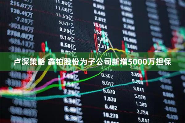 卢深策略 鑫铂股份为子公司新增5000万担保