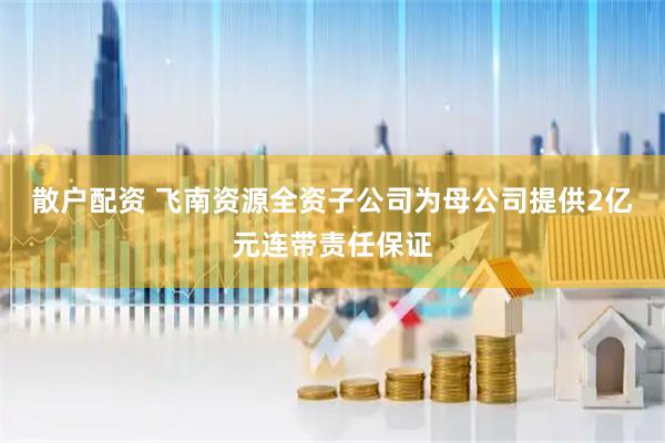 散户配资 飞南资源全资子公司为母公司提供2亿元连带责任保证