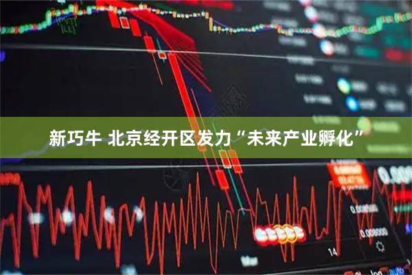 新巧牛 北京经开区发力“未来产业孵化”