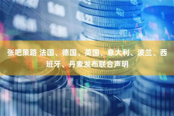 张吧策路 法国、德国、英国、意大利、波兰、西班牙、丹麦发布联合声明