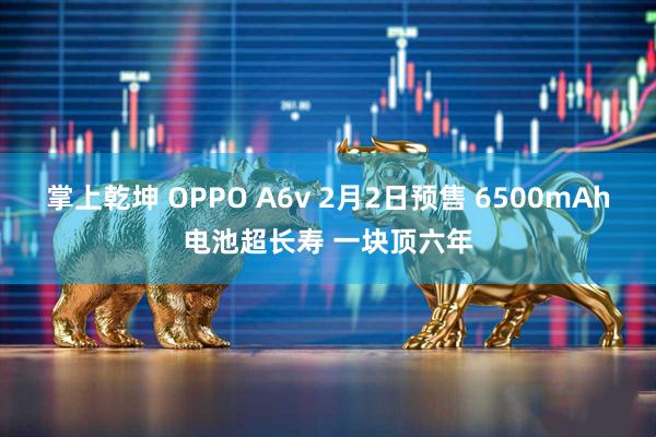 掌上乾坤 OPPO A6v 2月2日预售 6500mAh电池超长寿 一块顶六年