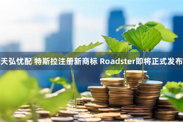 天弘忧配 特斯拉注册新商标 Roadster即将正式发布